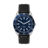 42mm, Ss, Silver Case, Bl Bezel, Automatic Mvt, Dte - Brushed Silver
