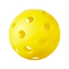 Picture of Indoor Pickleball