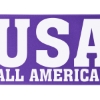 Promotional 6 Badge Satin Ribbon - 50yd Roll - Brilliance - Matte Finish Purple BR50BAR0650