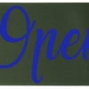 Promotional 9 Badge Satin Ribbon - 25yd Roll - Brilliance- Matte Finish Hunter Green BR50BAR0925