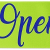 Promotional 9 Badge Satin Ribbon - 25yd Roll - Brilliance- Matte Finish Lime Green BR50BAR0925