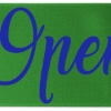 Promotional 9 Badge Satin Ribbon - 50yd Roll - Brilliance- Matte Finish Green BR50BAR0950