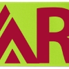 Promotional 12 Badge Satin Ribbon - 50yd Roll - Brilliance- Matte Finish Lime Green BR50BAR1250