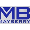 Promotional 5 Badge Satin Ribbon - 25yd Roll - Brilliance- Matte Finish Silver BR50BAR0525