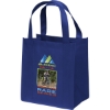 Custom Little Thunder® - Non-Woven Tote - ColorVista with Logo CV30THU1213