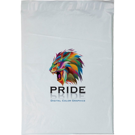 Custom 12W x 15 1/2H Plastic Mailer - Dynamic Color with Logo DY20MAI1215