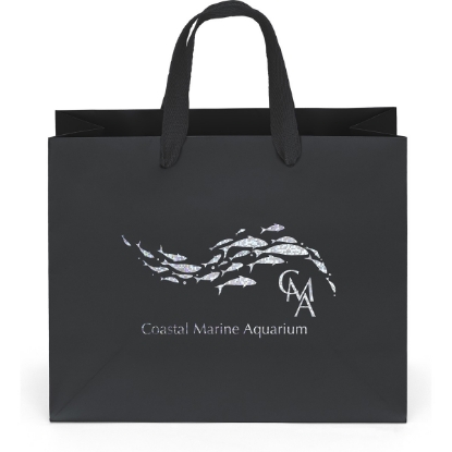 Promotional Paris - Matte Eurotote - Foil Print with Logo FP13MAE1008