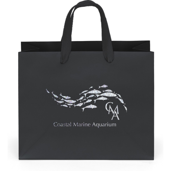 Promotional Paris - Matte Eurotote - Foil Print with Logo FP13MAE1008