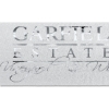 Promotional 2 Badge Satin Ribbon - 50yd Roll - Foil Print Silver FP50BAR0250