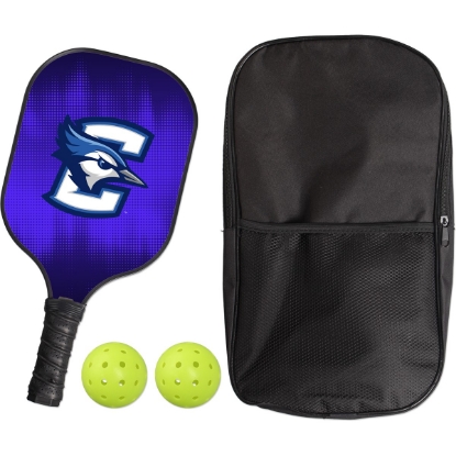 Custom Fiberglass Pickleball Paddle Set with Logo WL1789