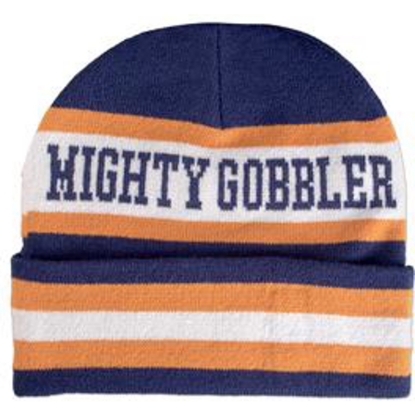 Custom Knitted Custom Jacquard Beanie with Logo WL1821