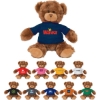 Custom 11 Roary Bear with Logo WL2082X