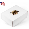 Promotional Full Color Printed Corrugated Box Large 11x9x4 White GL2012-VI