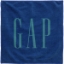Custom 12x12 Microfiber Terry Towel - 300GSM with Logo H739