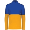 Custom Mens Momentum Team Quarter-Zip Pullover Gold/ Royal