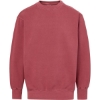 Custom Mens Coastal Color™ Crewneck Sweatshirt Scarlet