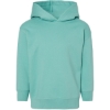 Custom Toddler Pullover Fleece Hoodie Saltwater