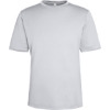 Custom Unisex Capital Performance T-Shirt Platinum