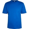 Custom Unisex Capital Performance T-Shirt True Royal