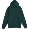 Custom Unisex Premium Hooded Sweatshirt Sport Green