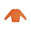 Custom Unisex Premium Crewneck Sweatshirt Carrot