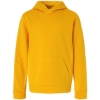 Custom Youth Squad Hooded Tech Fleece Pullover Sport Athletic Gold