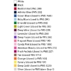 Horizontal Ribbon Badge 2"x4" colors
