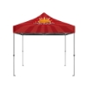 IMPORT 10' x 10' Canopy Package