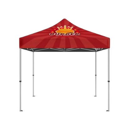 IMPORT 10' x 10' Canopy Package